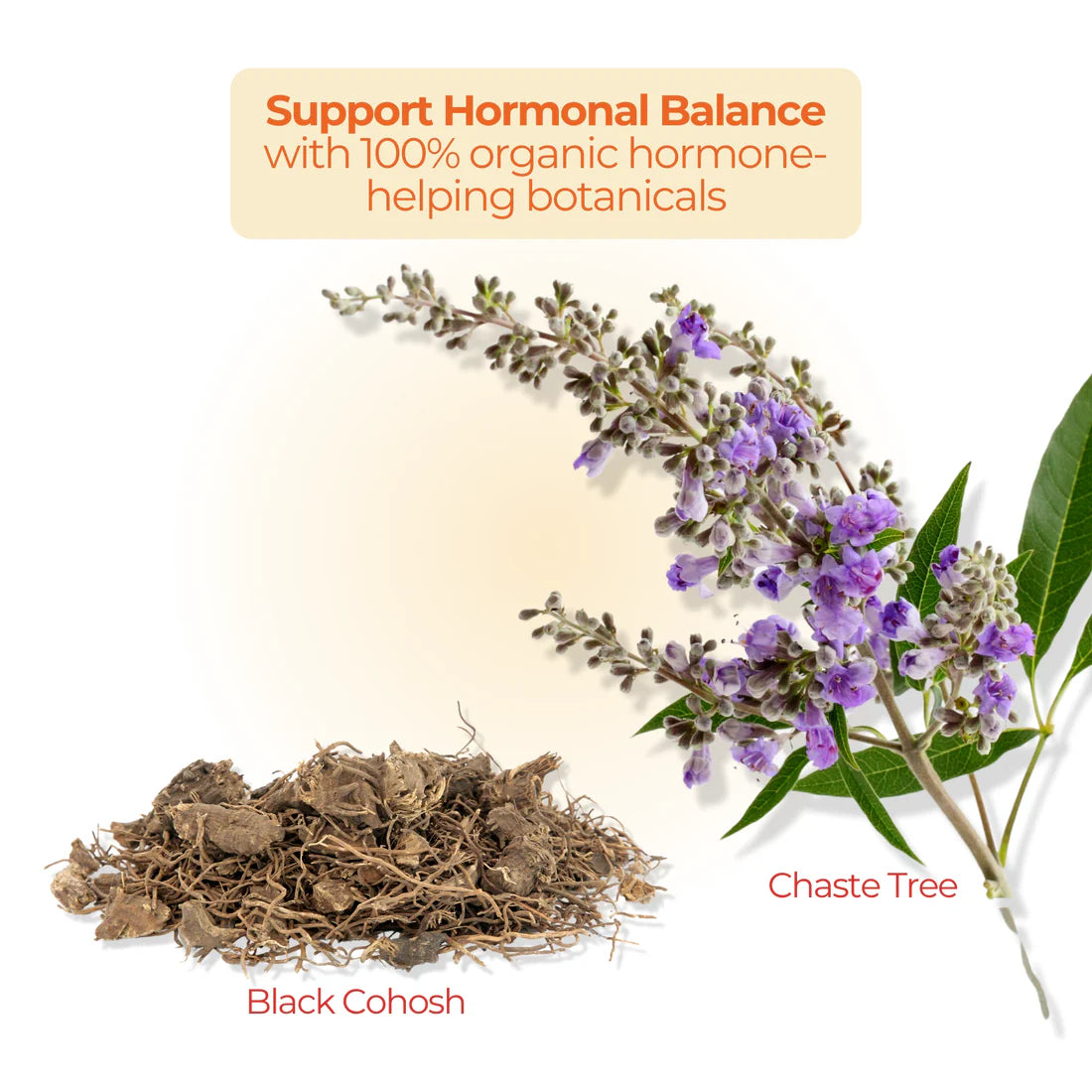 Loob Daily Moisturizer